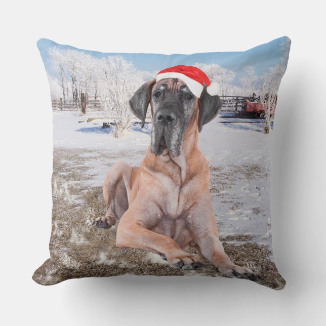 Coussin Très Beau Chien Danse Assis Dans Le Casquette De N (Recto)