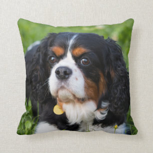 Coussin Tri Color Cavalier King Charles Spaniel Dog