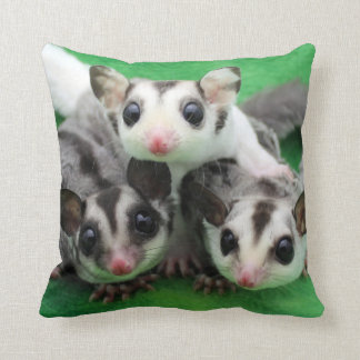Coussin Trio de Joey de planeur de sucre