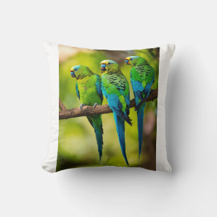Coussin Trio de Peroot sur une branche