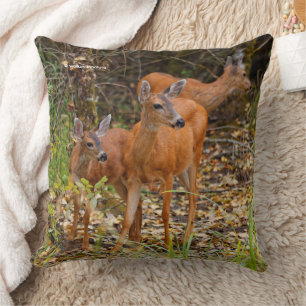 Coussin Trio superbe de cerfs de queue noire dans la forêt