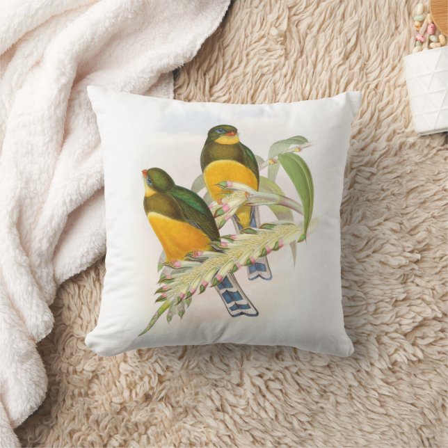 Coussin Trogon de Macklot, (Couverture)