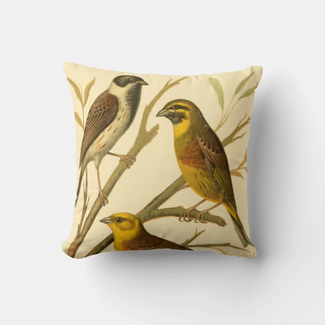 Coussin Trois oiseaux domestiques perchés sur une branche (Recto)