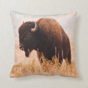 Coussin Troupeau De Bison Américain (Bison Bison) À Teton 