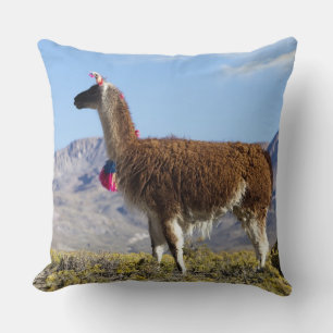Coussin Troupeau de lamas décorés dans la Puna, montagnes 