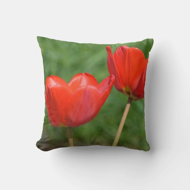 Coussin Tulipe de ressort naturel florale (Recto)
