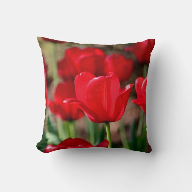 Coussin Tulipes rouges (Recto)