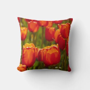 Coussin Tulipes rouges impression photographique. aimant