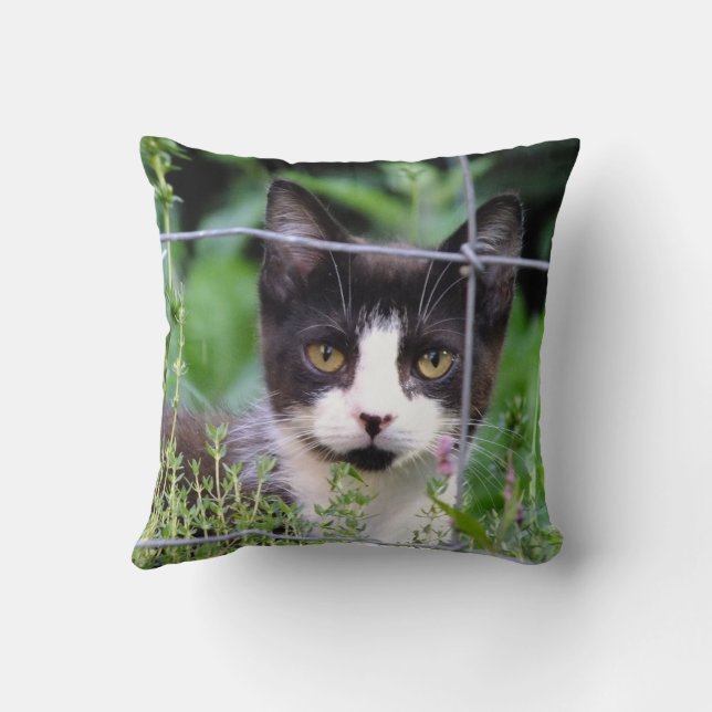 Coussin Tuxedo Kitten dans le jardin (Verso)