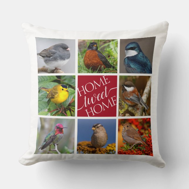 Coussin Tweet Accueil 8 Songbirds américains 8 Photo Colla (Recto)