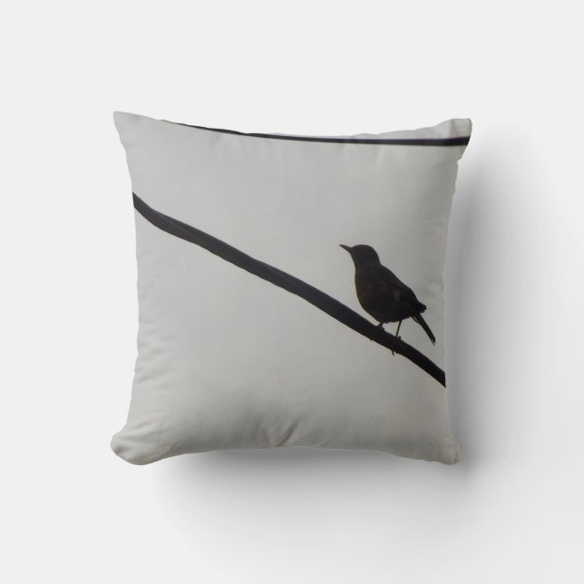Coussin Tweeter (Recto)