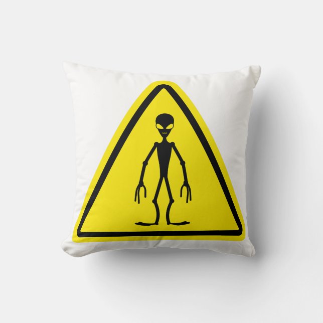 Coussin UFO Crossing (Recto)