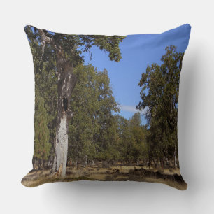 Coussin Un autre beau jour....