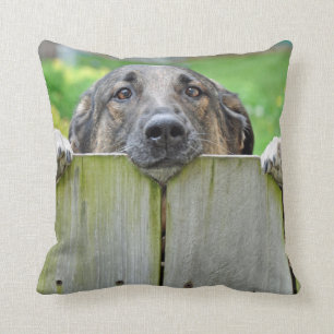 Coussin Un berger allemand regarde la clôture