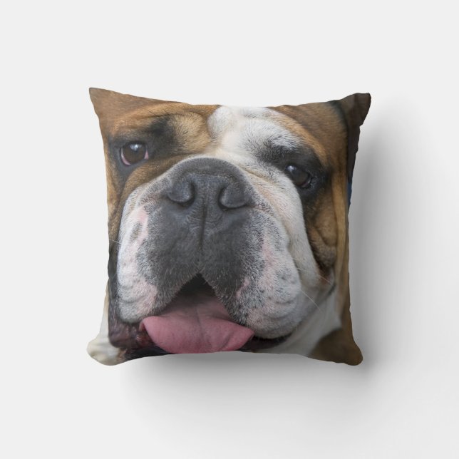 Coussin Un bulldog anglais en Belgique (Recto)