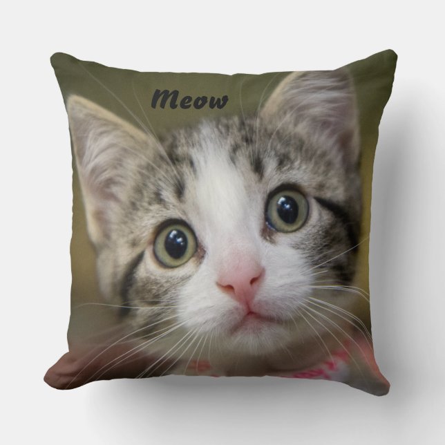 Coussin Un chaton mignon aux yeux verts (Recto)