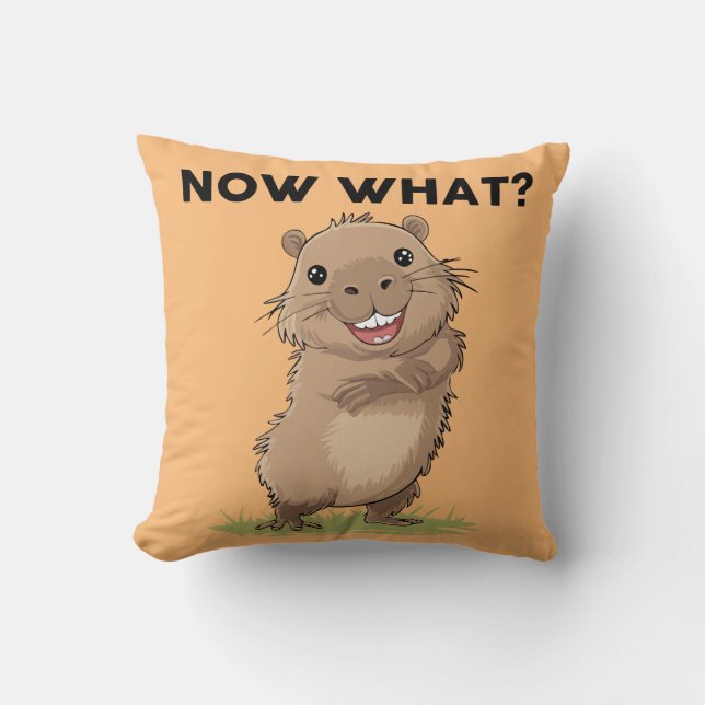 Coussin Un drôle d'oreiller à lancer Capybara (Recto)