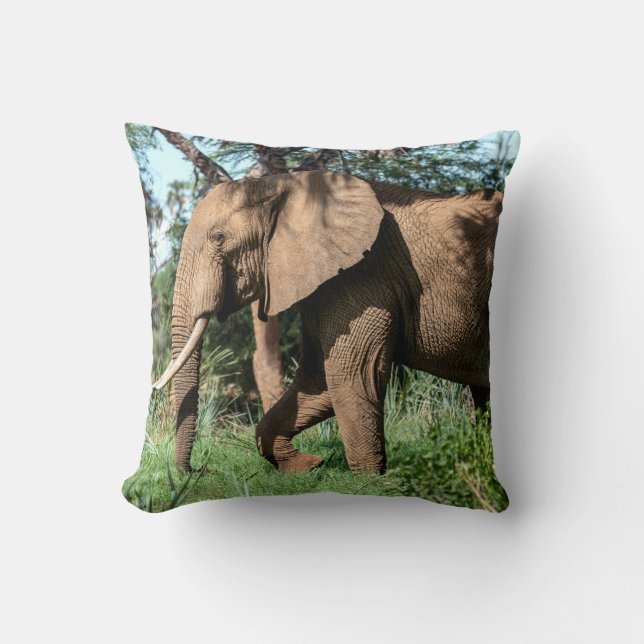 Coussin Un éléphant africain au Safari (Recto)