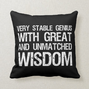 Coussin Un Génie Très Stable Avec Une Grande Sagesse In