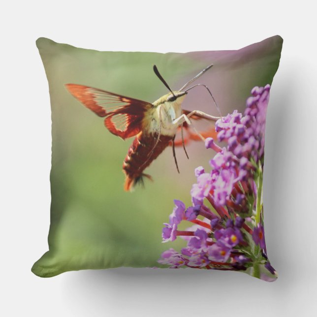 Coussin Un papillon de nuit sur un papillon (Recto)