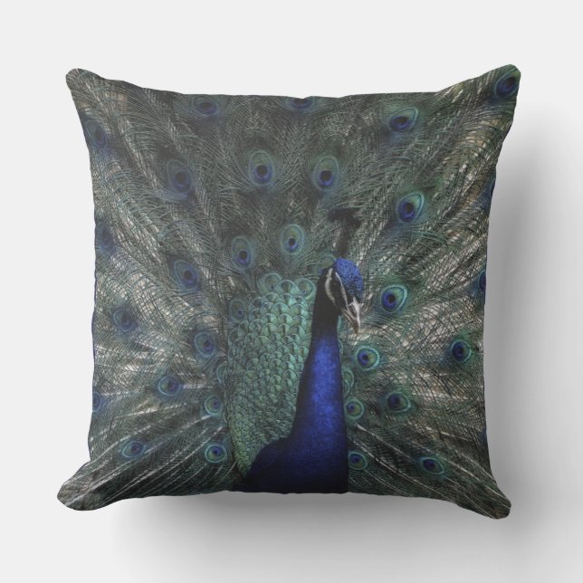 Coussin Un Peacocks Belles Plumes Ouvertes (Recto)