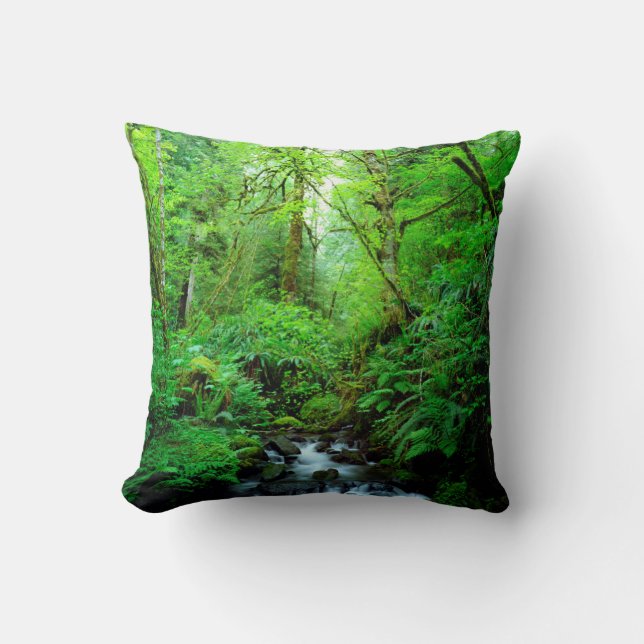 Coussin Un ruisseau dans une forêt ancienne (Recto)
