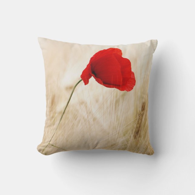 Coussin Un seul pavot rouge dans un champ de graminées (Recto)