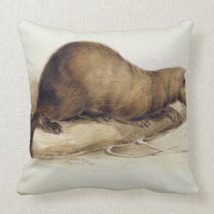 Coussin Une belette, 1832 (la semaine, ove de stylo,