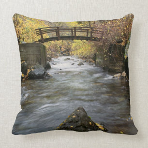 Coussin Une rivière fonctionnant par le canyon américain