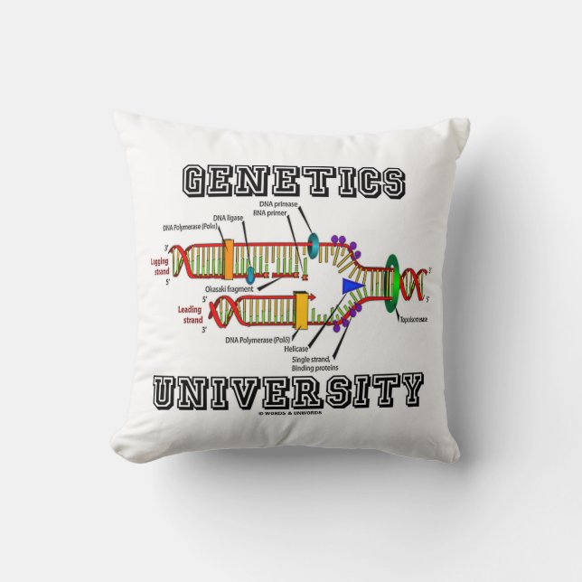 Coussin Université de la génétique (humour de reproduction (Recto)