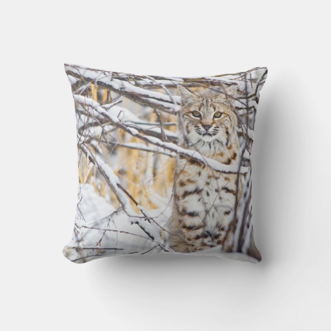 Coussin USA, Wyoming, Bobcat (Recto)