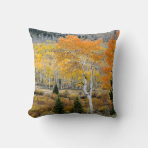 Coussin Utah, États-Unis. Peupliers et fourrés de saules