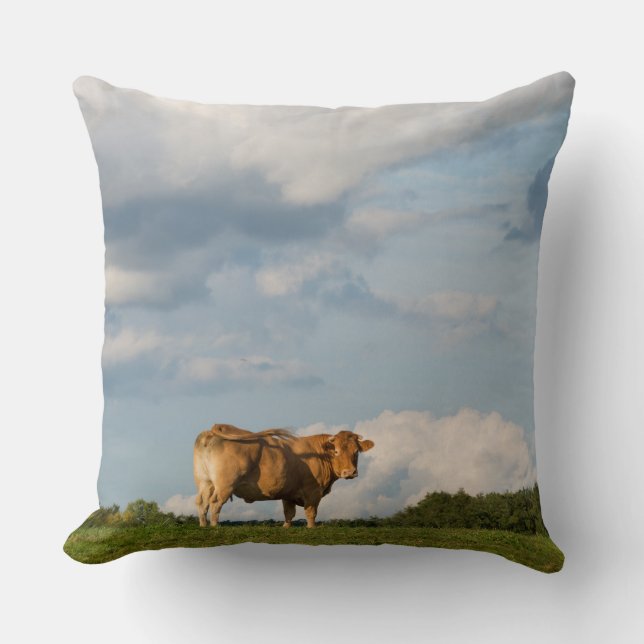 Coussin Vache blonde à d'Aquitaine dans la région de (Recto)