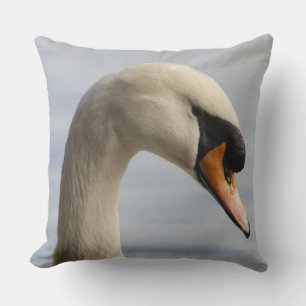 Coussin Vancouver, Stanley Park, Mute Swan (Cygnus olor) 2