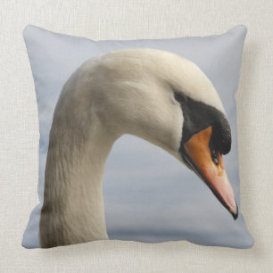 Coussin Vancouver, Stanley Park, Mute Swan (Cygnus olor) 2