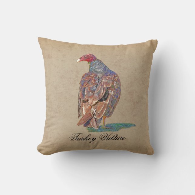 COUSSIN VAUTOUR DE TURQUIE (Recto)