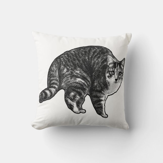 Coussin Veilleuse Tabby Watch (Recto)
