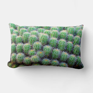 coussin vert cactus baril