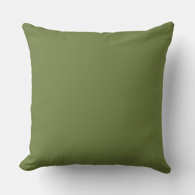 COUSSIN VERT CHIC DE PILLOW_DARK/SOLIDE VERT CLAIR (Recto)