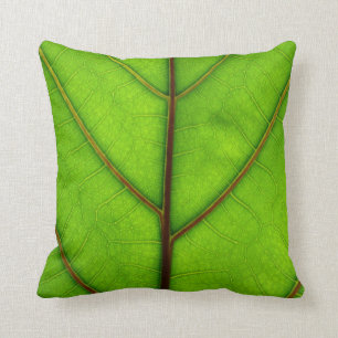 Coussin vert de feuille