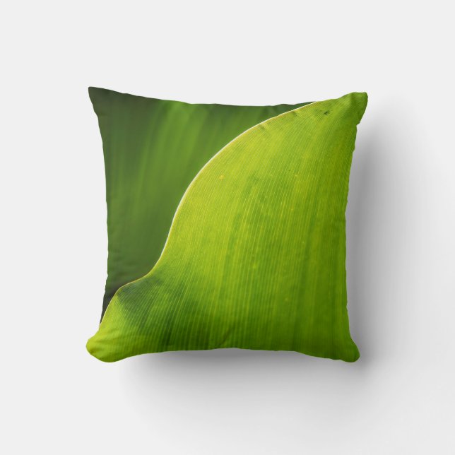 coussin vert de feuille (Recto)