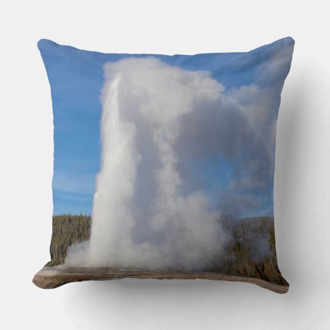 Coussin Vieux Geyser (Recto)