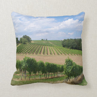 Coussin Vineyard - Vignoble (Bordeaux - France) 04