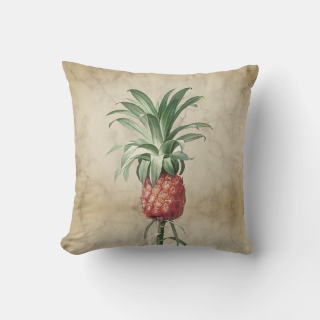 Coussin Vintage ananas tropicale Botanique Élégant (Recto)