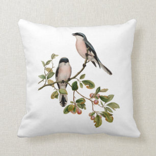 Coussin Vintage de beaux oiseaux sur une branche