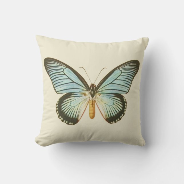 Coussin vintage de papillon d'Aqua (Recto)