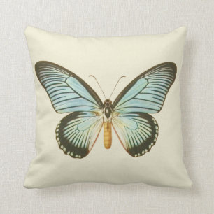 Coussin vintage de papillon d'Aqua