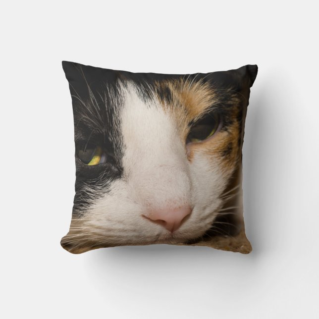 Coussin Visage Calico (Recto)