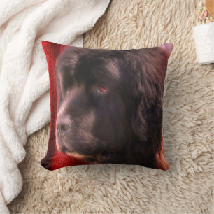 Coussin Visage de chien noir et blanc de Terre-Neuve