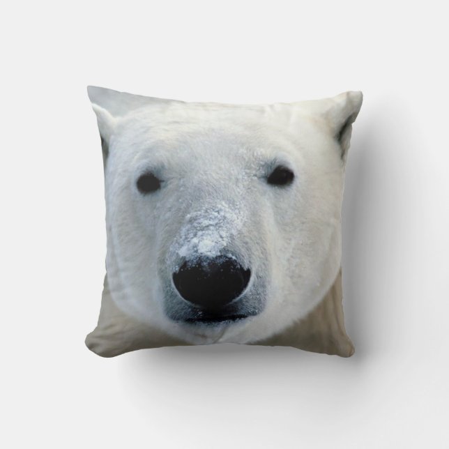 Coussin Visage de l'ours polaire (Recto)
